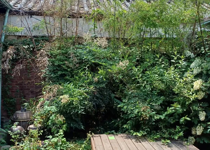 Gongsimga Hanok Guesthouse