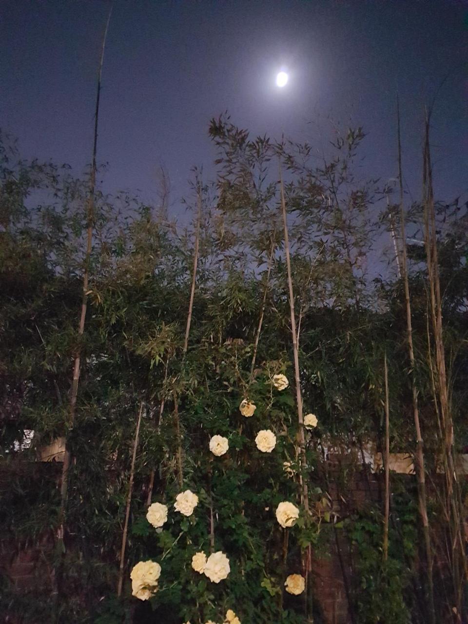 공심가 한옥 게스트하우스 2*