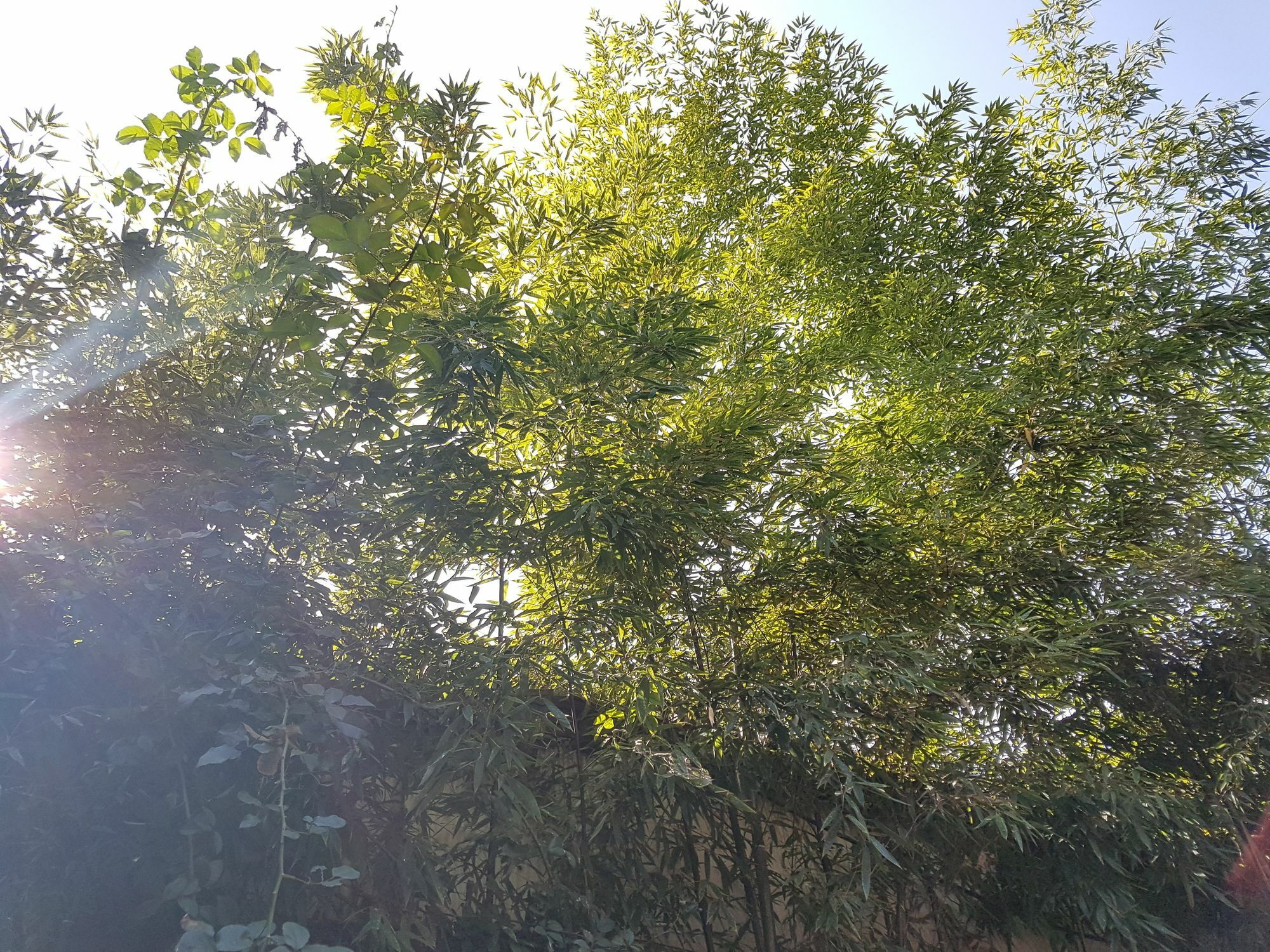 공심가 한옥 2* 서울특별시